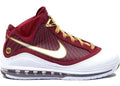 LBJ Basketball Shoe 7 Christ the King (CTK)