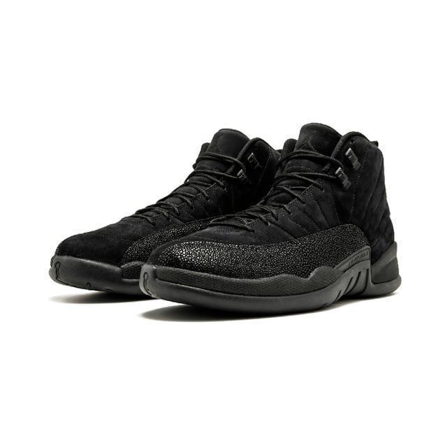 Retro Basketball Shoe 12 Retro Basketball Shoes